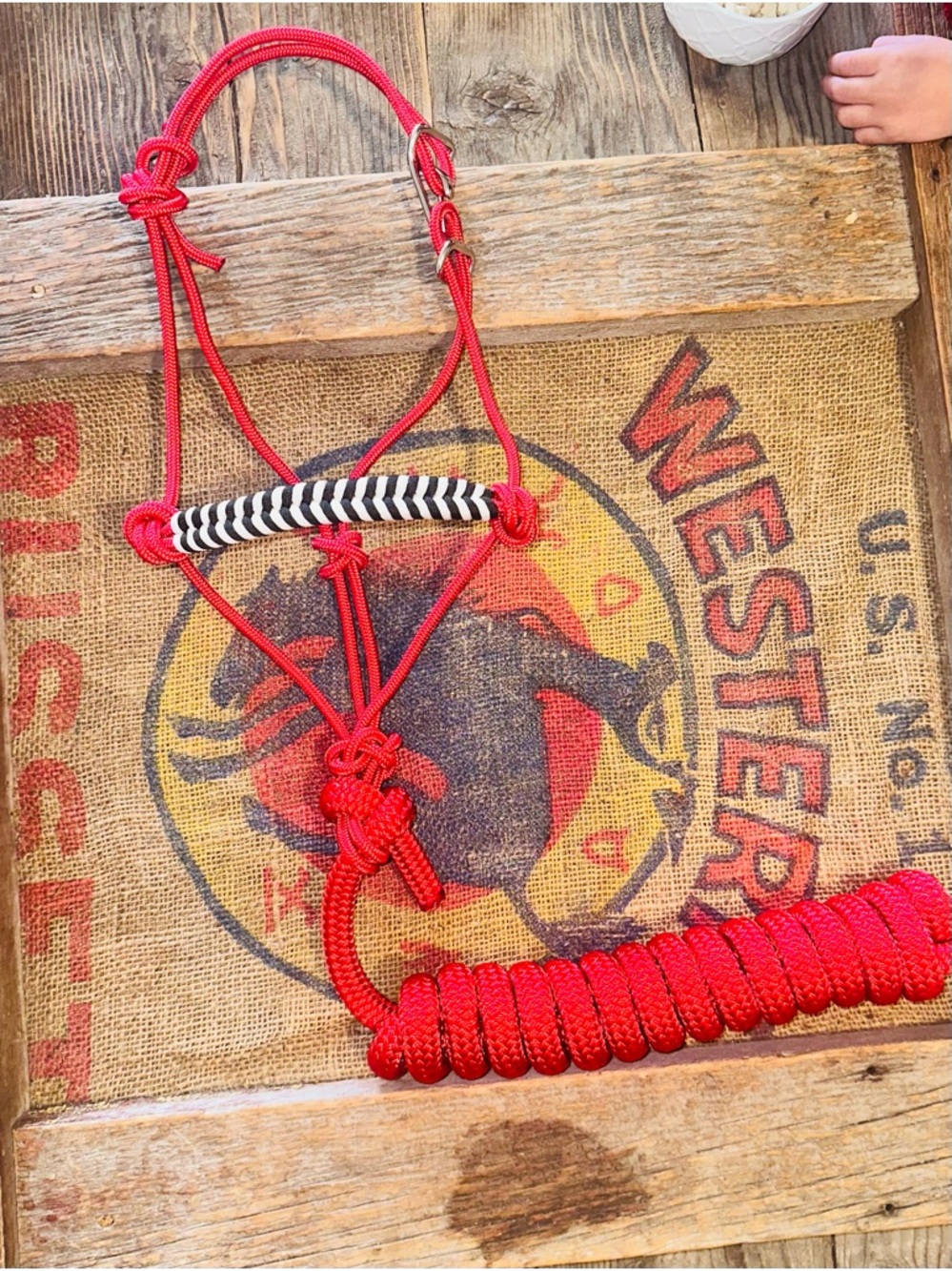 Mini Pony or Foal Easy Hook Red Rope Halter with Black & White Noseband